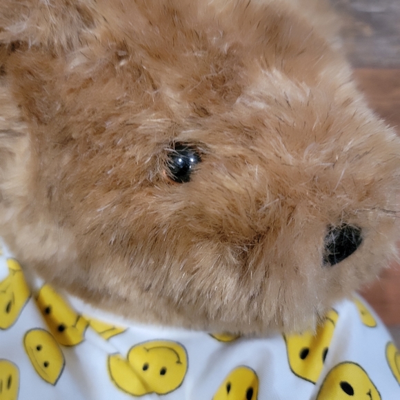 Vermont Teddy Bear Get Well - Picture 7 of 11